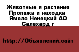 Животные и растения Пропажи и находки. Ямало-Ненецкий АО,Салехард г.